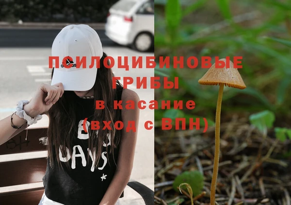 стафф Вязники